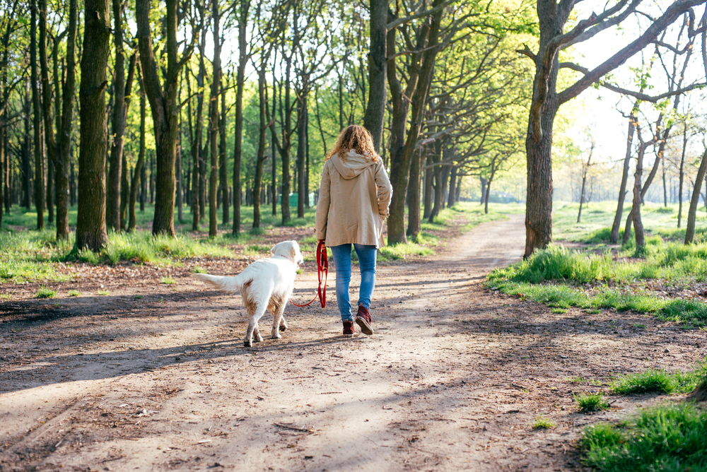 woman_dog_path